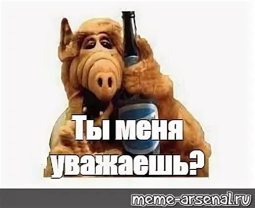 Ты меня уважаешь что ответить. Ты меня уважаешь что ответить