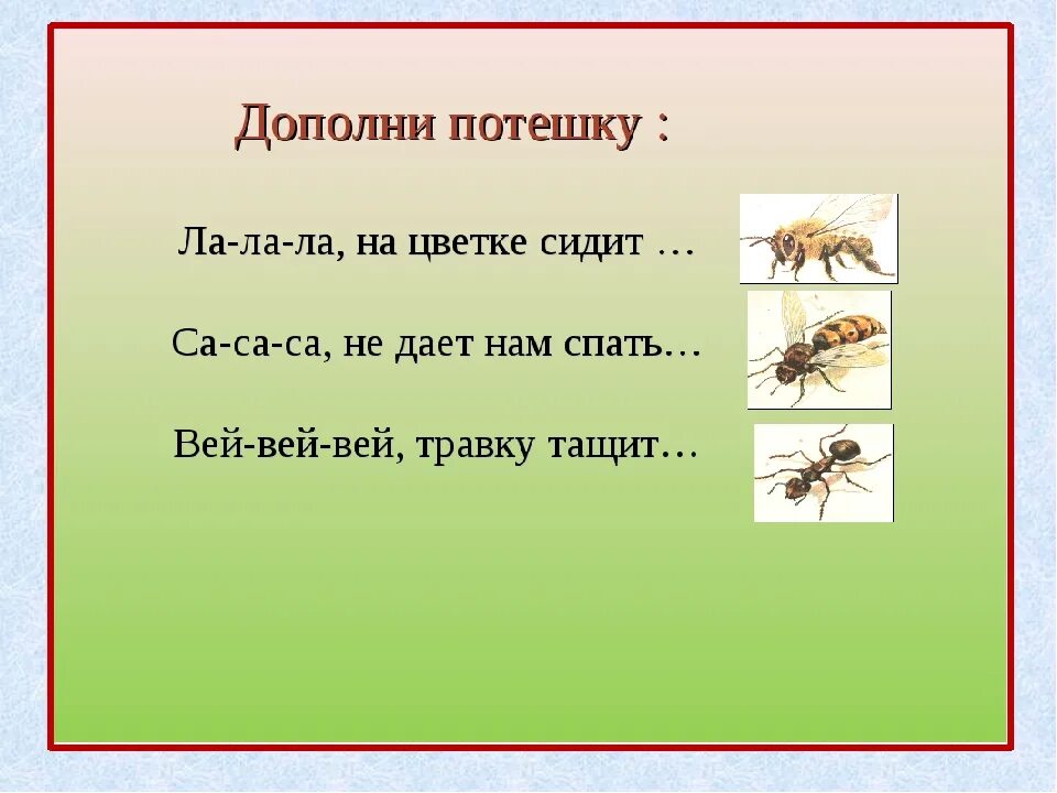 Загадки про насекомых. Загадки про насекомых для детей. Загадки про насекомых для дошкольников. Загадки про насекомых для малышей. Насекомые детям 5 6 лет