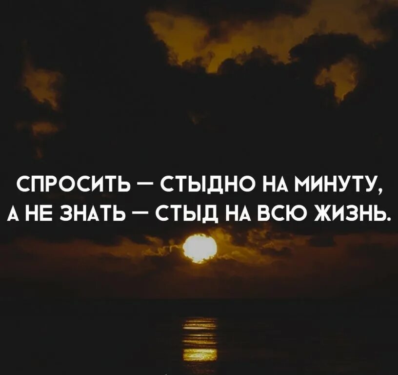 5 минут цитаты. Спросить стыдно на минуту. стыдно афоризмы. не стыдно спросить стыдно не знать. стыдно цитаты.