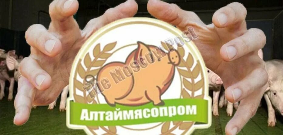Митпром. Алтаймясопром. Логотип Алтаймясопром патент.