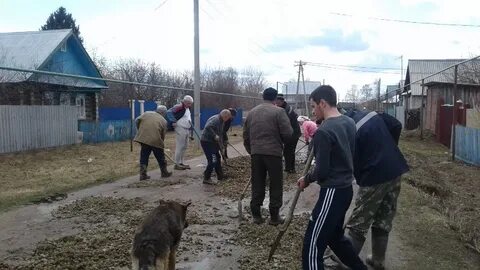 Погода в отарах