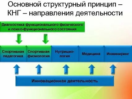 Комплексная научная группа