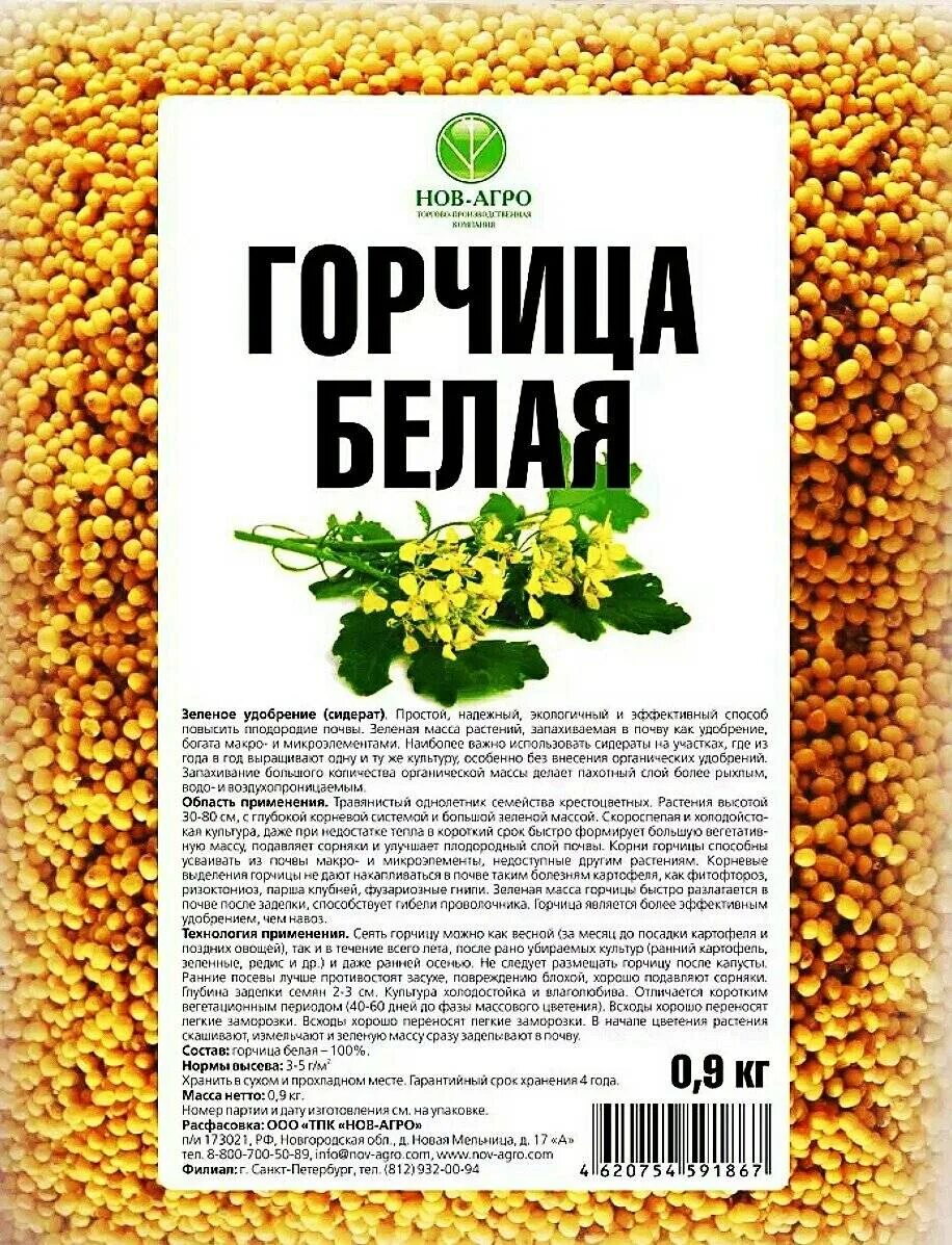 Как посадить горчицу