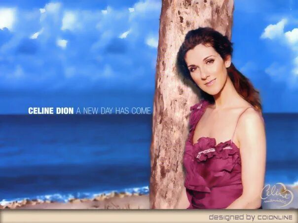 Celine dion new day have. Celine Dion 2002 a New Day has come. Céline Dion - a New Day has come. Céline Dion - a New Day has come (2002). Celine Dion a New Day фото.