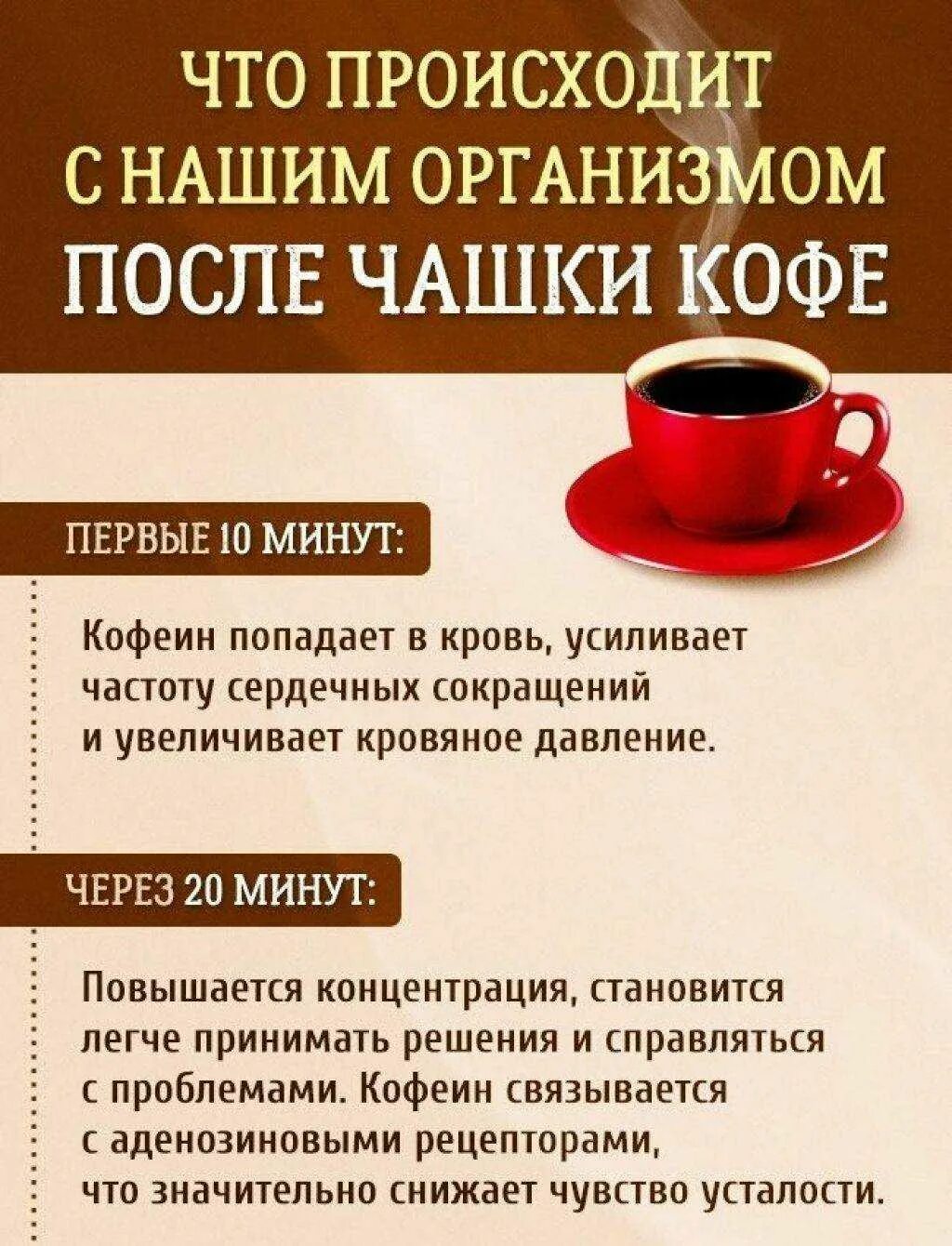 Кофеин и давление. Кофе и давление. кофе повышает давление или. кофе поднимает давление или понижает. кофе давление поднимает или снижает.