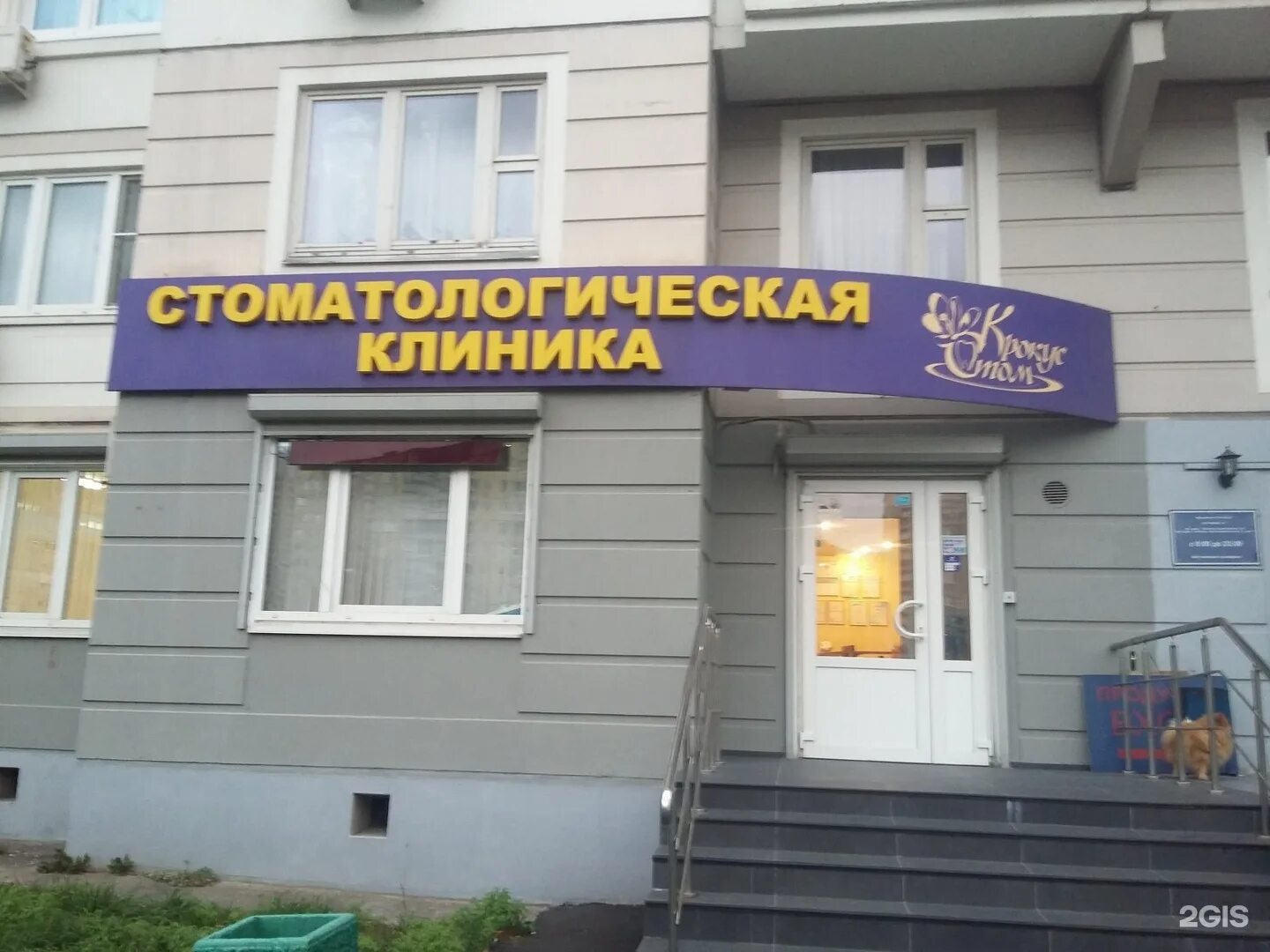Стом клиники омск. Бульвар зеленый 4 омск. Стом клиники омск. Стом клиники омск. Бульвар зеленый 8 омск.