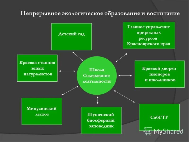 Непрерывное экологическое образование. Экологическое образование и воспитание. Этапы непрерывного экологического образования. Экологизация образования.