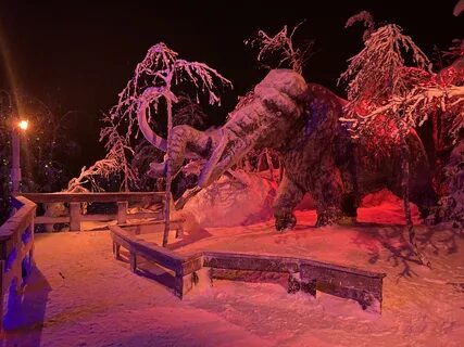 Кировск лес