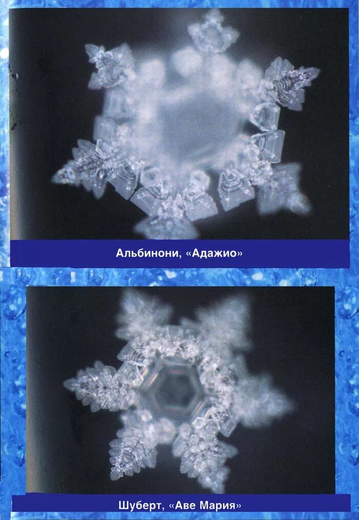 Вода в кристаллическом состоянии. Кристаллы воды. Кристаллы крещенской воды. Кристаллы воды под микроскопом. Крещенская вода под микроскопом.