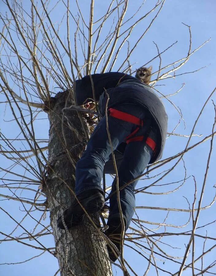 Сама залезла на него