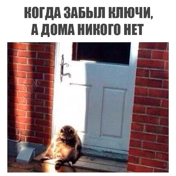 Не ждавший никого дома