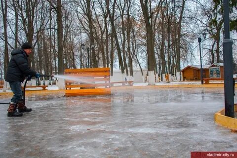 В парке залит