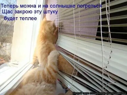 Будет тепло сайт