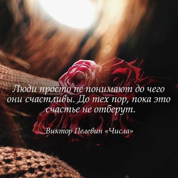 Постарайтесь получить то что любите иначе. Постарайся получить то что любишь. никогда не жертвуйте собой ради других. иначе придется полюбить то что получили. постарайтесь получить то что любите иначе придется полюбить.