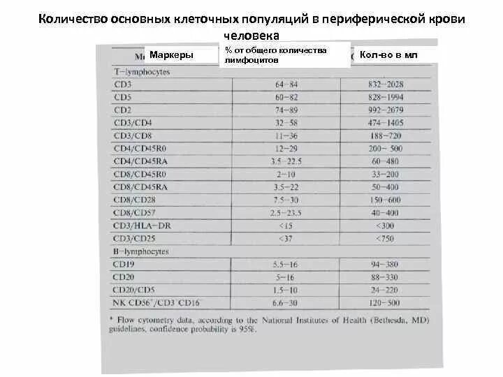 Фенотип лимфоцитов. Нормы показателей иммунофенотипирования лимфоцитов.