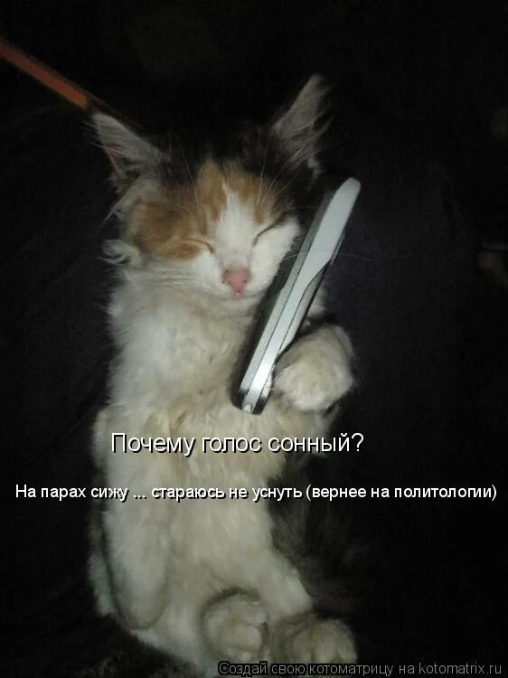 Студентки на парах. Спать на парах. На парах сижу что значит. На парах сижу что значит. На парах сижу что значит.