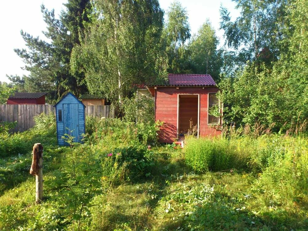 Гувд роща снт. Снт роща сергиев посад. Зеленая роща 2 ленинградская область. Дача снт роща. Снт роща сергиево посадский район.