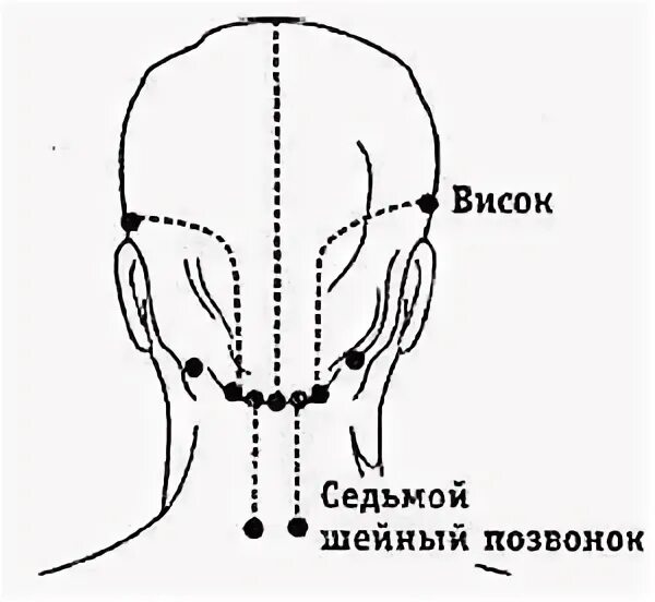 Шейный лимфоузел затылочный. Шейный лимфоузел затылочный