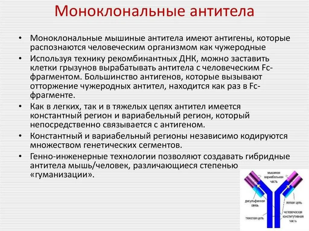 Моноклональные антитела сывороточные препараты. Терапевтические моноклональные антитела. Антитела иммуноглобулины моноклональные антитела. Препараты гуманизированных моноклональных антител. Антитела легкая форма