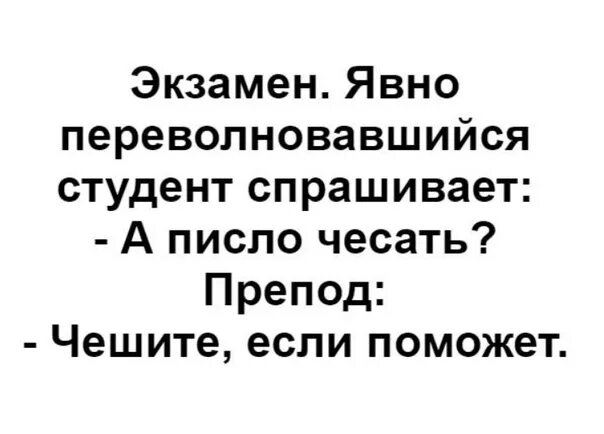 Выражение чесать. Писло. чеши писло. писло чесать анекдот. писло чесать мем.