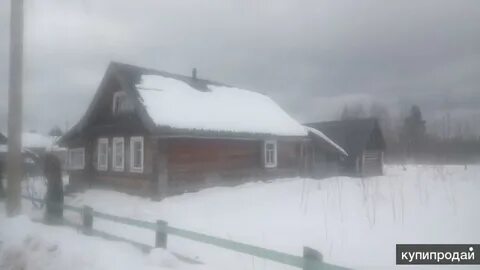 Дерняки погода