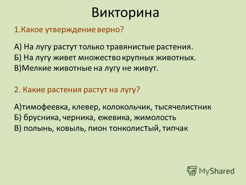 Какие утверждения верны сухая кожа. На лугу растут только травянистые растения. Почему крупные животные не живут на лугу. На лугу живёт множество крупных животных.. Какие утверждения верны для характеристики лугов?.