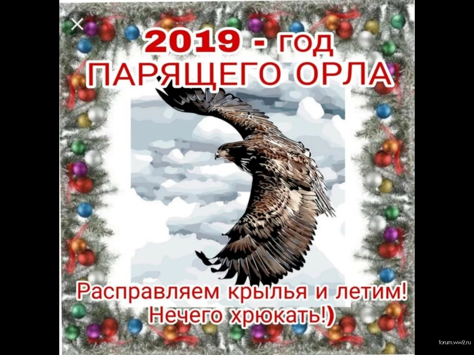 год орла по славянскому. год парящего орла 2019. парящий орел по славянскому. год орла. парящий орел по славянскому календарю.