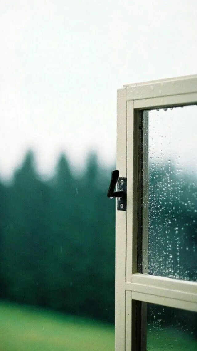 Window into