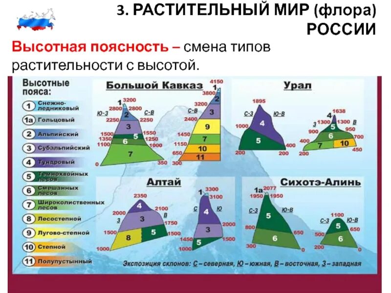 Природная поясность урала. Высотная поясность Алтая, Кавказа, Урала. Схема ВЫСОТНОЙ поясности уральских гор. Уральские горы Высотная поясность схема. Высотные пояса Южного Урала.