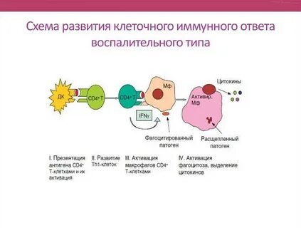 Снижение фагоцитарной активности