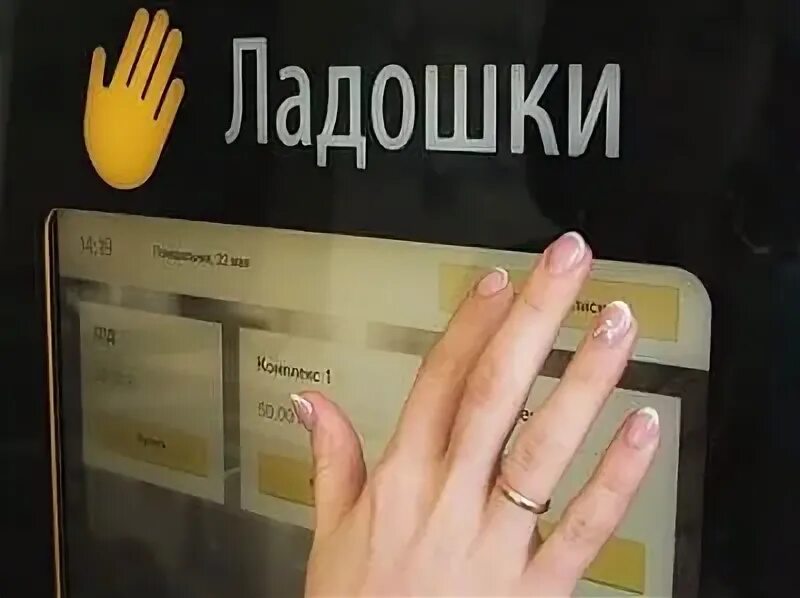 Ладошка питание