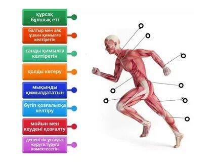 Екеуміз порно көретінбіз