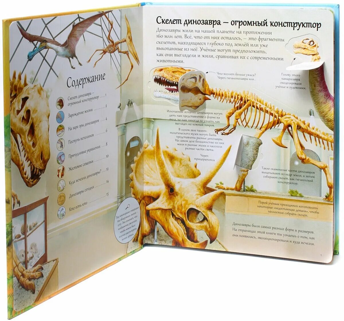 Робинс. Книга с секретами "Открой тайны динозавров" /16. Книга Открой тайны динозавров книга с секретами. Книжка секреты динозавров.