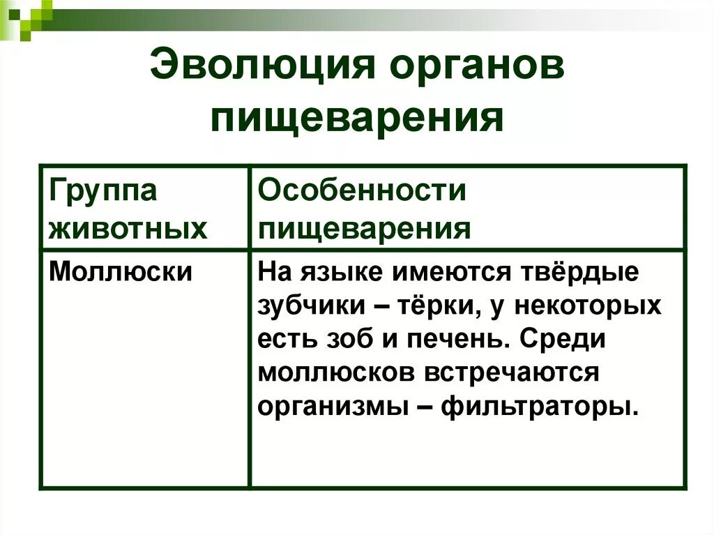 Эволюция пищеварительной системы у беспозвоночных животных. Эволюция системы органов пищеварения позвоночных животных. Эволюция систем органов животных пищеварительная система. Эволюция пищеварения у животных таблица. Происхождение пищеварительной системы