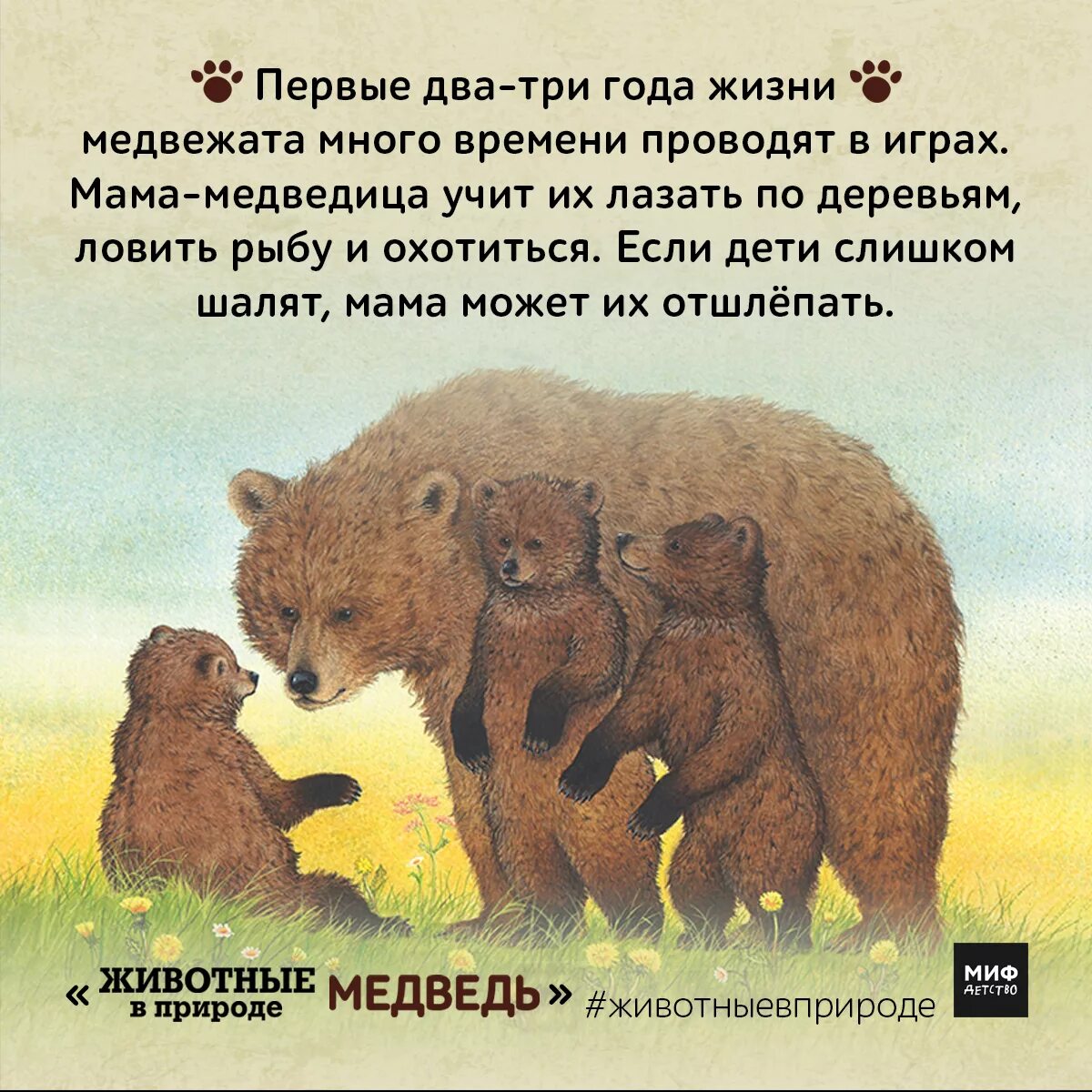 Я медведь настоящий медвежонок или нет. Медведь для детей. Медведь рассказ для детей. Медведь и его малыши. Животные для детей Медвежонок.