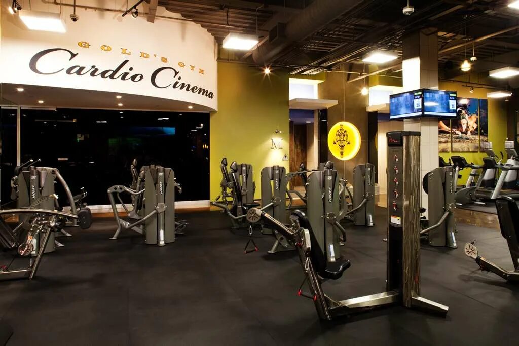 Gold's gym ереван. Голд жим. Gold's gym ереван. Голд джим фитнес. Голдс джим gold's gym.