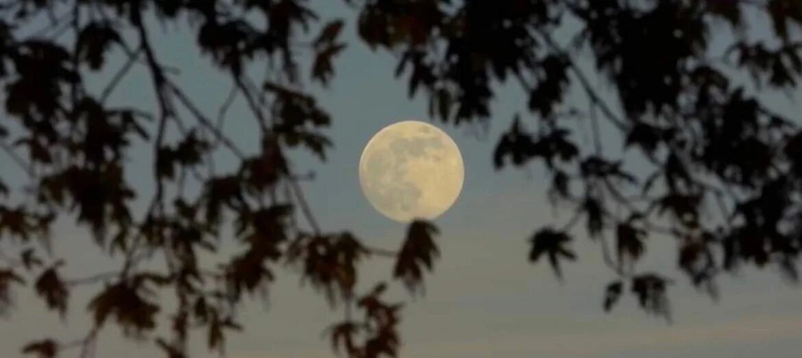 Лунное затмение. Полутеневое лунное затмение. Лунное затмение 5 мая. Сейчас полнолуние.
