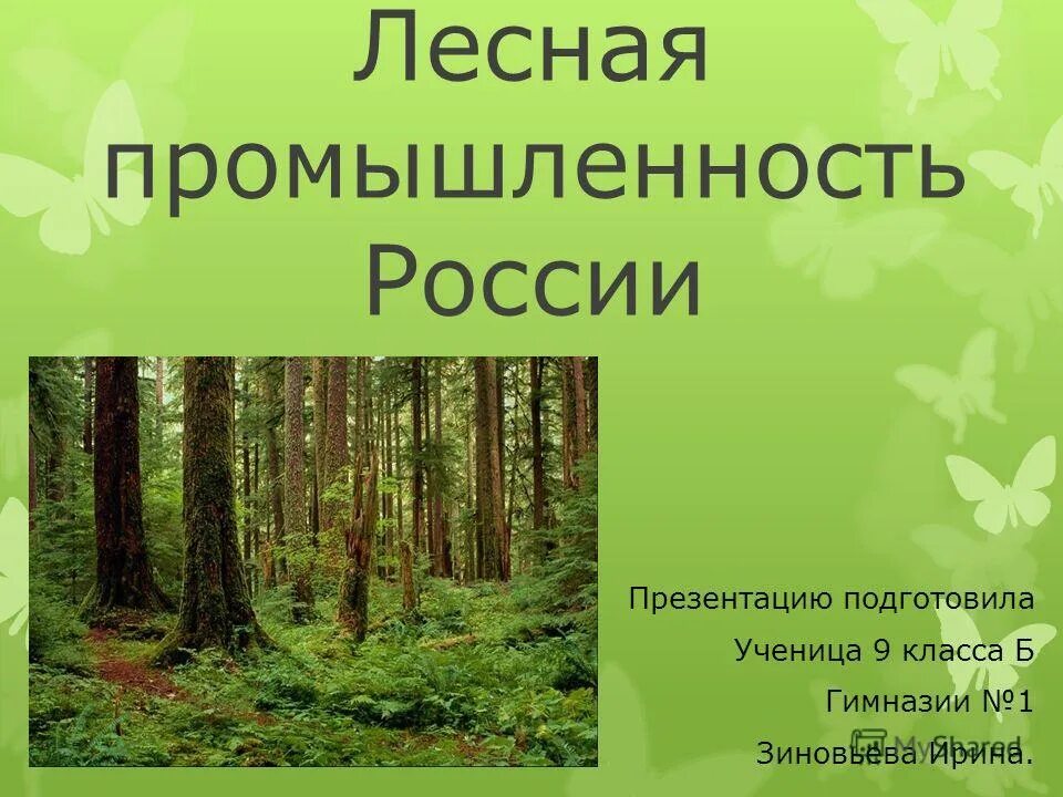 Лесная промышленность презентация 10 класс. Лесная промышленность России. Лесной комплекс России. Лесное промыленность Росси. Лесная промышленность реферат.