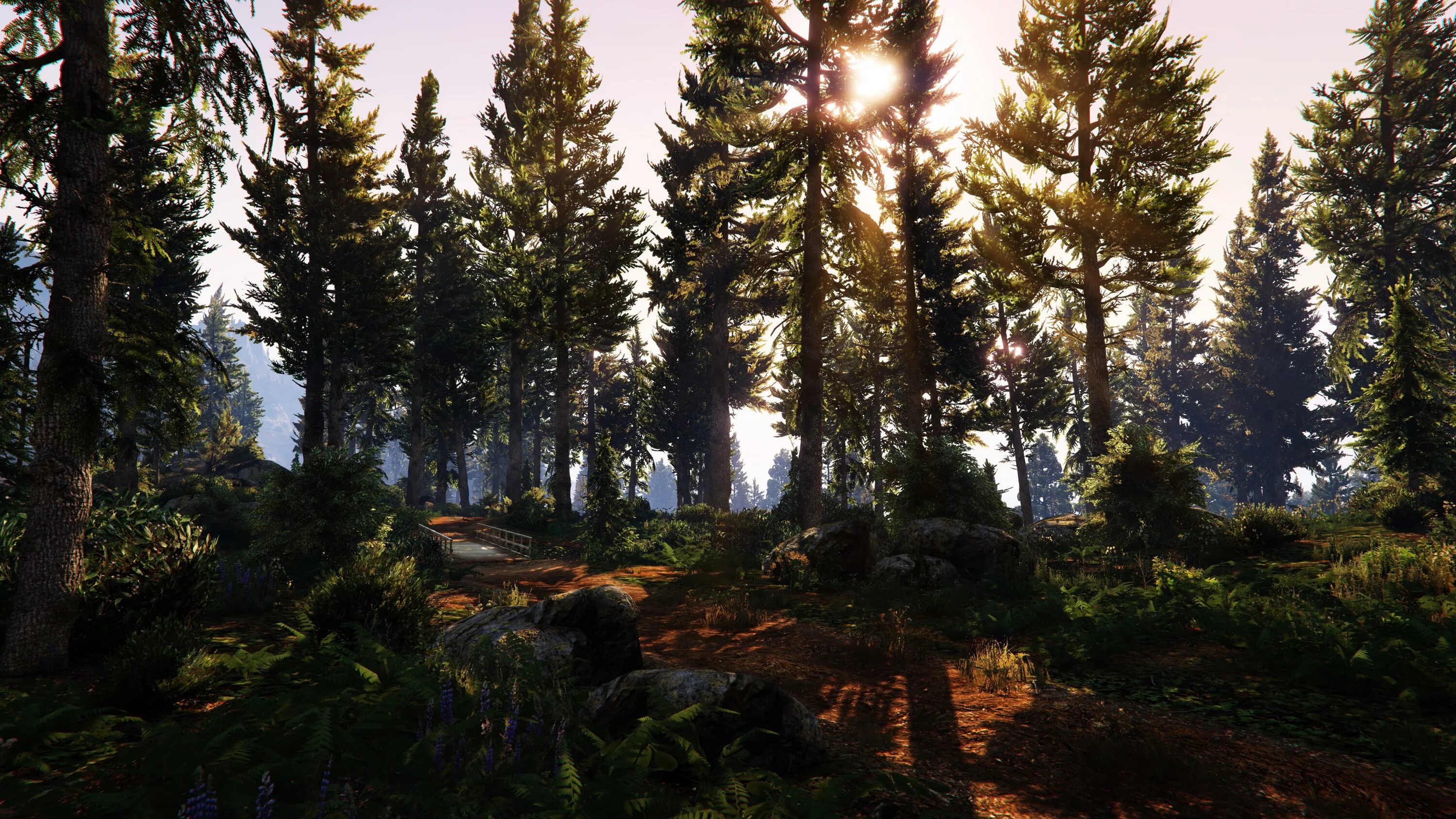 Леса в гта 5. Ue5 forest. Лес гта фото. Леса в гта 5. Гта 5 лес.