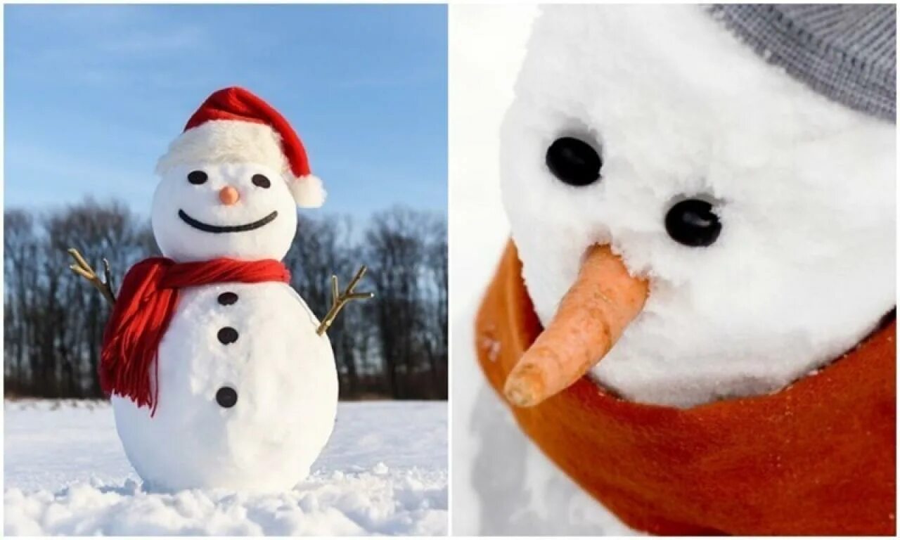 Снеговик. Нос морковка для снеговика. Снеговик из снега. Морковка для снеговика. Картинка снеговики без морковок