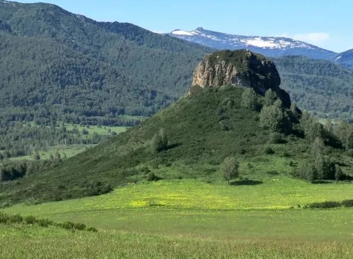 Краснощёковский район Алтайский край. Чинета Краснощековского района Алтайского края. Генералка Алтайский край Чарышский район. Маральник генералка Краснощековский район. Западная часть алтая