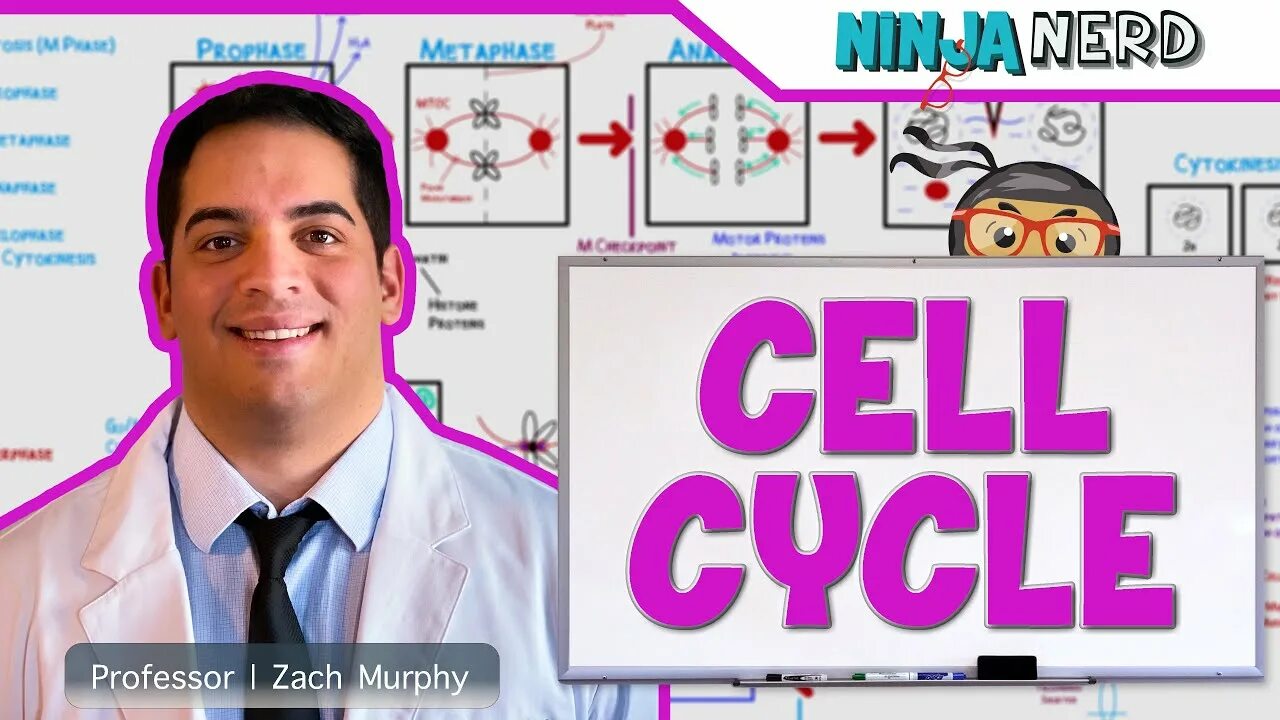 Ninja nerd. Ninja nerd cell cycle. prof zach murphy ninja nerd.
