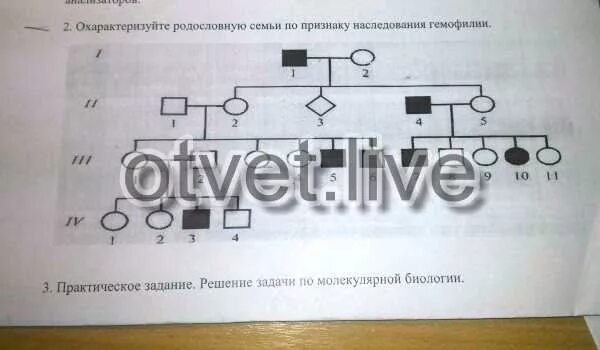 Родословная схема семьи с наследованием гемофилии. Схема родословной наследования гемофилии без надписей. Указать Тип наследования признака в семье с гемофилией. Задача №3 родословная семьи с гемофилией.