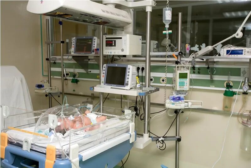 перинатальный центр тула внутри. перинатальный центр закрывается. вильямса 1 д тула перинатальный центр карта. перинатальный центр красноярск. перинатальный центр мурманск фото.