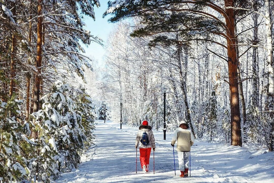 Льготный отдых. Санаторий Сибирь Тюмень зимой. Санаторий Сибирь "Siberia Resort & Spa". Санаторий Сибирь Тюмень зимой фото. Прогулка в зимнем лесу.