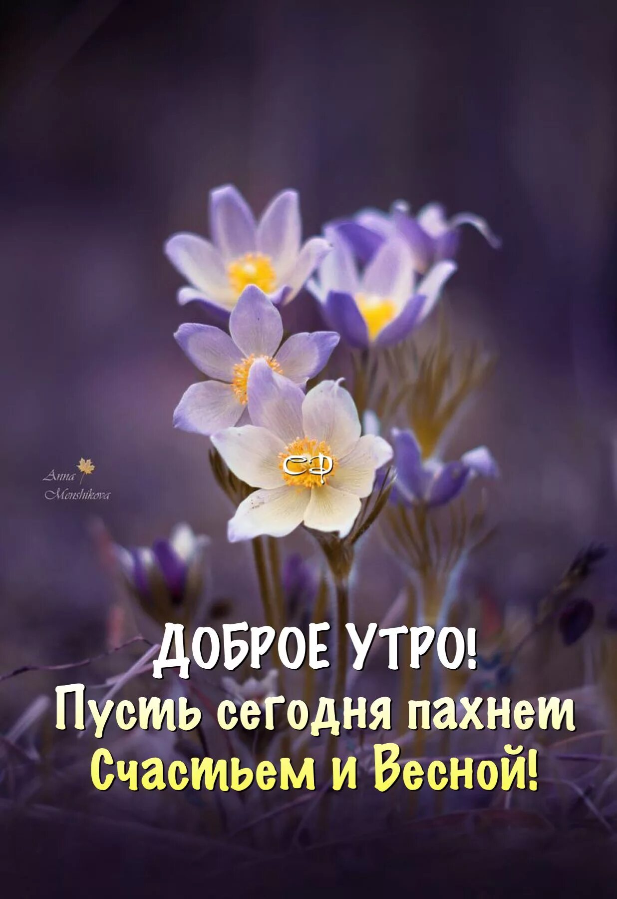 Доброго дня со смыслом весенние