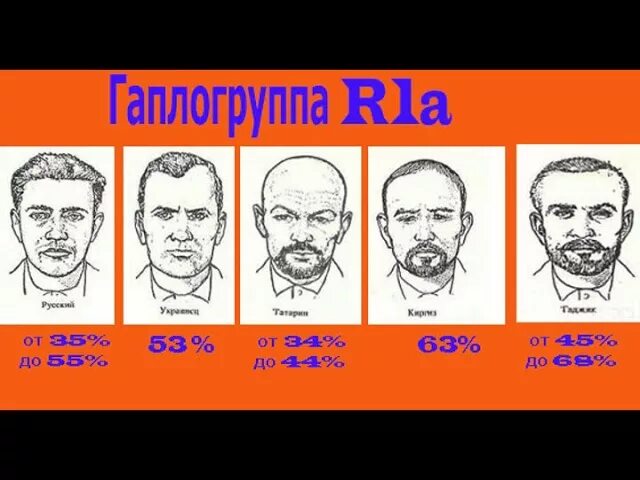 Гаплогруппы таджиков и узбеков. Генетика таджиков. Генотип таджиков. Таджики внешность.