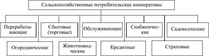 Сельскохозяйственный кредитный потребительский кооператив. Виды кооперативов. Виды сельскохозяйственных потребительских кооперативов. Потребительский кооператив пример. К сельскохозяйственным организациям относятся