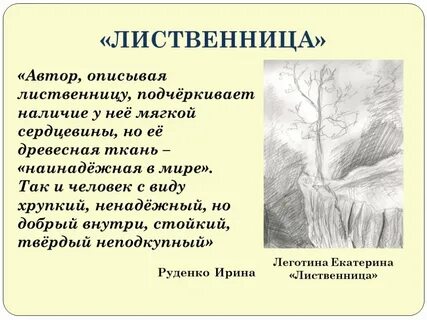 В произведении автор описывает