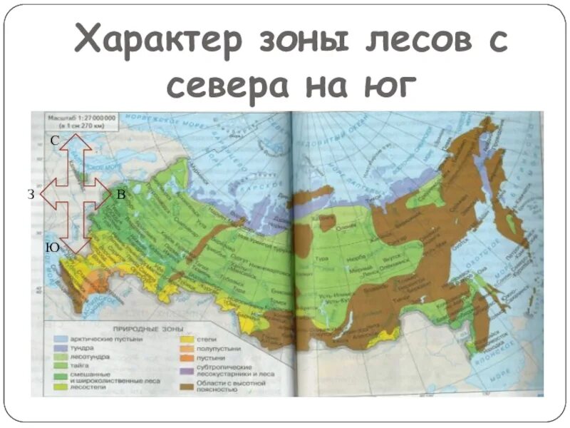 Последовательность природных зон с севера на юг. Карта с севера на Юг природные зоны. Лесные природные зоны с севера на Юг. Природные зоны России с севера на Юг на карте. Зона лесов с севера на Юг.